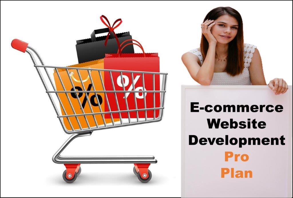 professional ecommerce website development agency in Hartford Connecticut